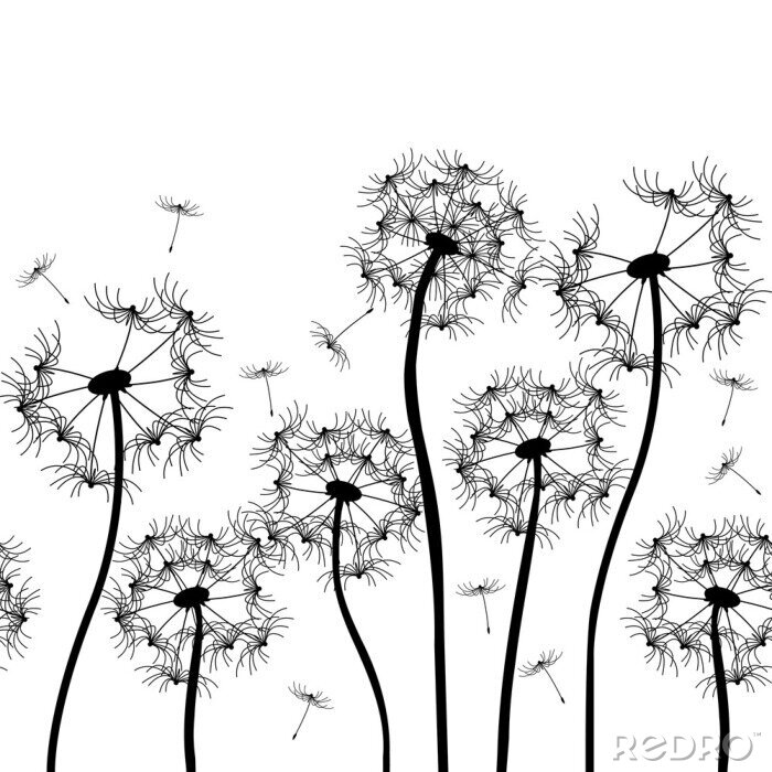 Papier peint à motif  Représntation graphique de pissenlits