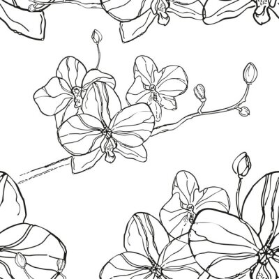 Papier peint à motif  Résumé, seamless, modèle, noir, orchidées, fleur, blanc, bac