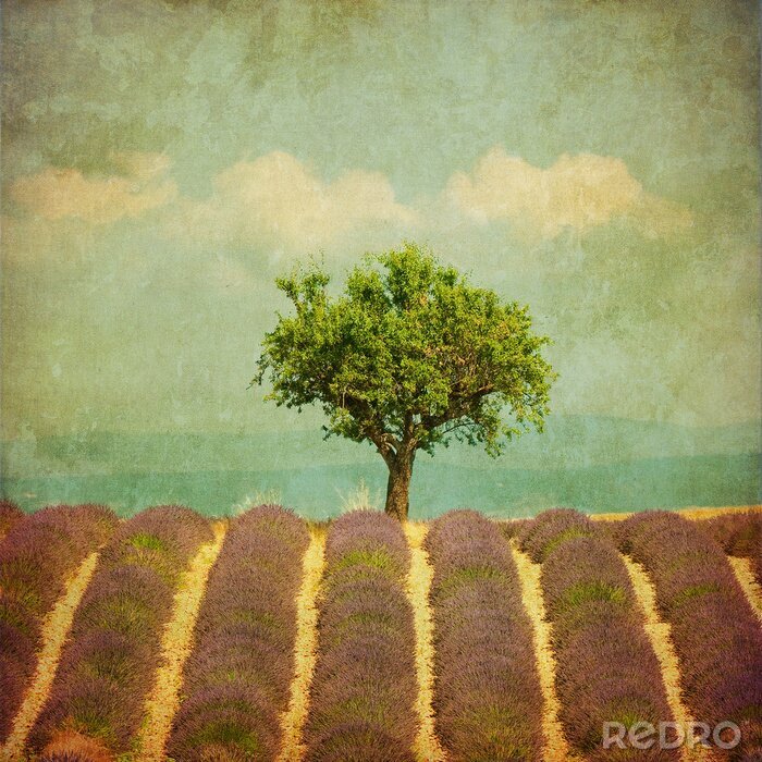 Papier peint à motif  Rétro photo avec un arbre au milieu des fleurs