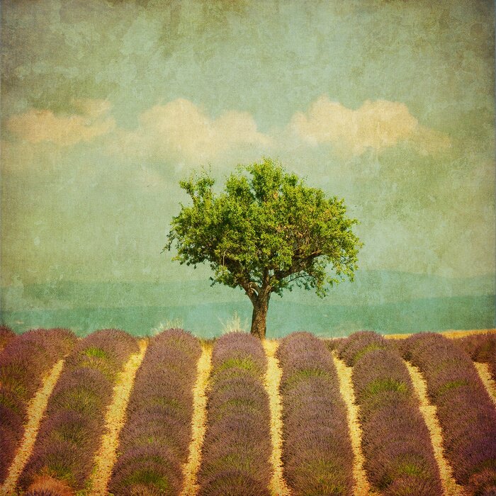 Papier peint à motif  Rétro photo avec un arbre au milieu des fleurs