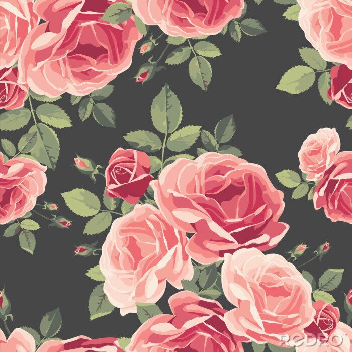Papier peint à motif  Roses anglaises dans les tons de rose graphique
