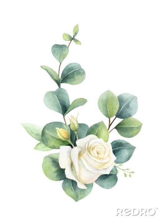 Papier peint à motif  Roses blanches avec des feuilles d'eucalyptus ombragées