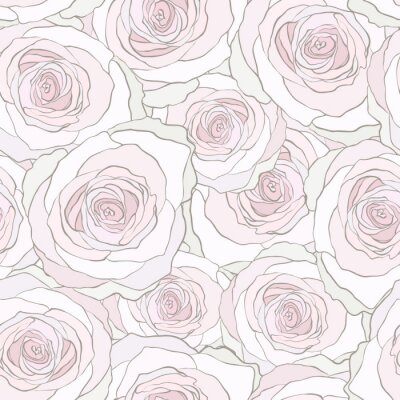 Papier peint à motif  Roses blanches avec graphique central rose