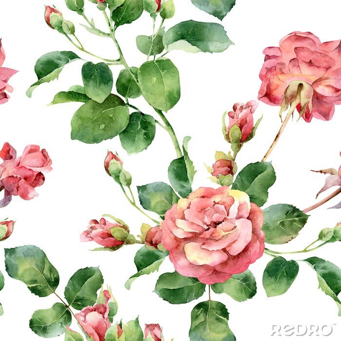 Papier peint à motif  Roses roses peintes avec des graphismes ? l'aquarelle