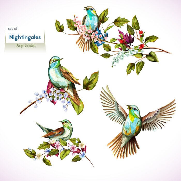 Papier peint à motif  Rossignol et feuilles