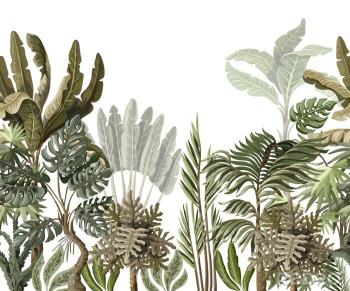 Papier peint à motif  Seamless border with tropical tree such as palm, banana, monstera. .