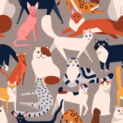 Papier peint à motif  Seamless colored pattern with different cat breeds flat illustration. Creative decorative background with various pet vector isolated on gray. Funny cute domestic animal