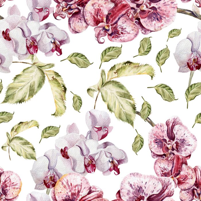 Papier peint à motif  Seamless, modèle, orchidée, fleurs, feuilles