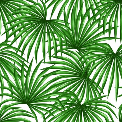 Seamless, modèle, paumes, feuilles Image décorative feuille tropicale de palmier Livistona Rotundifolia. Fond, fait, sans, écrêtage, masque Facile à utiliser pour toile de fond, textile, papier d'emba