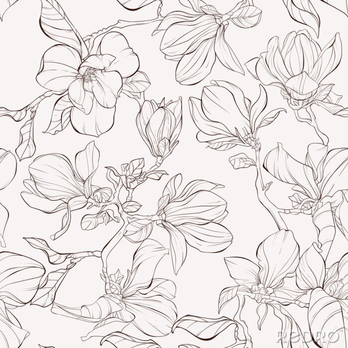 Papier peint à motif  Seamless pattern, background with blooming magnolia flowers. Outline drawing.