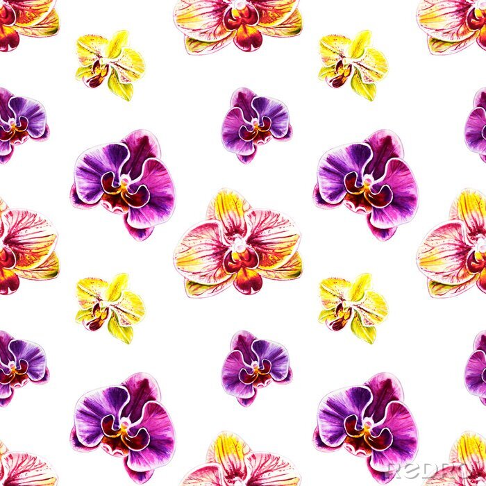 Papier peint à motif  Seamless pattern from orchid flowers. Watercolor painting. Exotic plant. Floral print. Botanical composition. Wedding and birthday. Greeting card. Flower painted background. Hand drawn illustration.