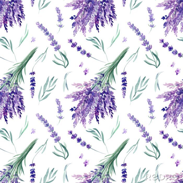 Papier peint à motif  seamless pattern, lavender watercolor on an isolated white background, hand drawing