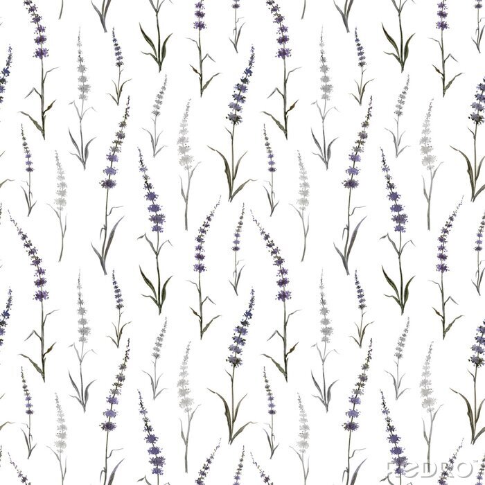 Papier peint à motif  Seamless pattern of abstract plants similar to mint or lavender on a white background, watercolor drawing, print for fabric and other designs.