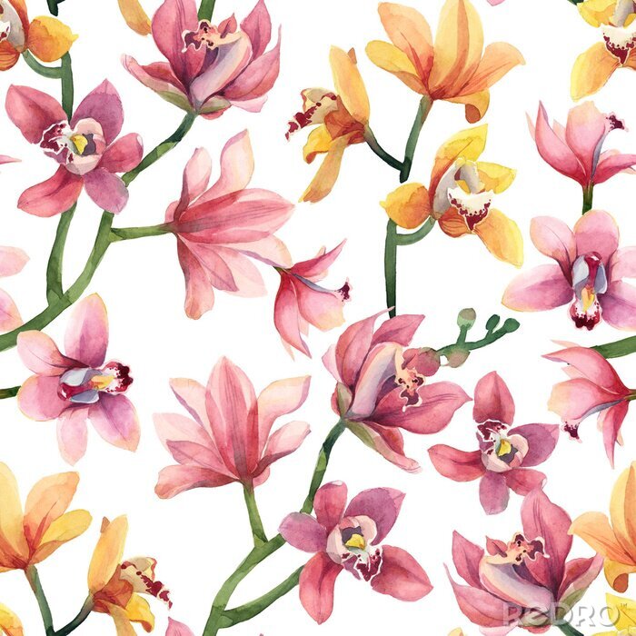 Papier peint à motif  Seamless pattern of yellow, rose orchid flowers and leaves isolated on white background.