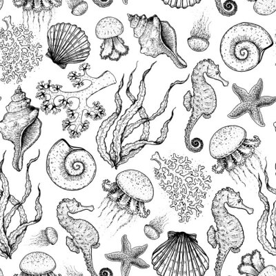 Papier peint à motif  Seamless pattern. Underwater world hand drawn. Sketch illustration. Seaweed, coral, seashell, jellyfish illustration. Vintage design template. Undersea world collection. Black and white style.
