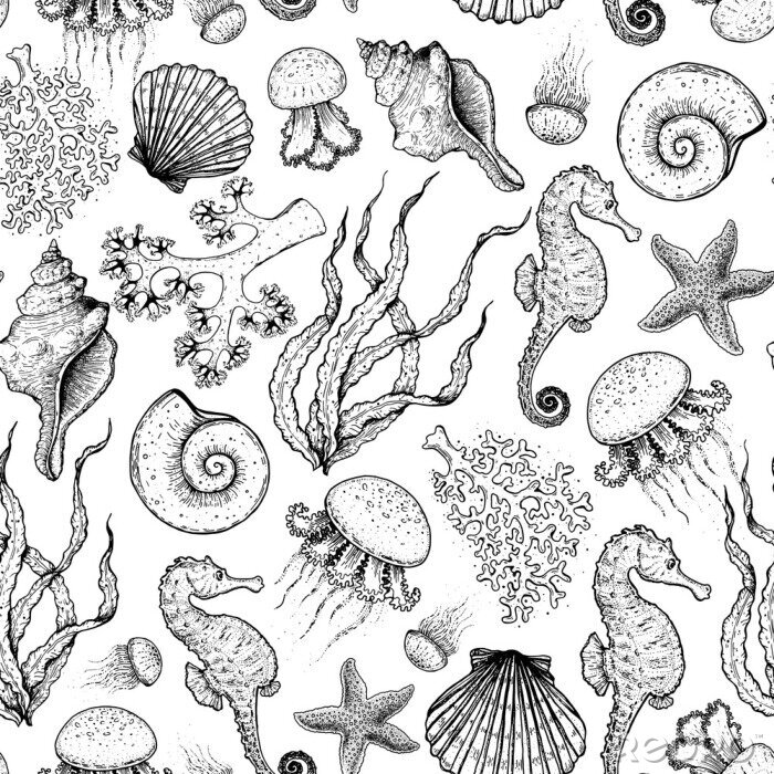 Papier peint à motif  Seamless pattern. Underwater world hand drawn. Sketch illustration. Seaweed, coral, seashell, jellyfish illustration. Vintage design template. Undersea world collection. Black and white style.