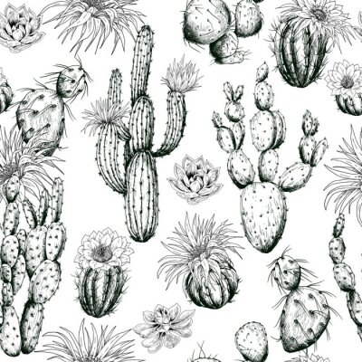 Papier peint à motif  Seamless pattern with black and white cactus plants and flowers. Hand drawn vector.