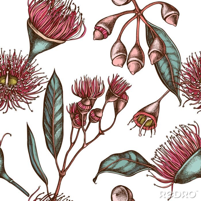 Papier peint à motif  Seamless pattern with hand drawn colored eucalyptus flower
