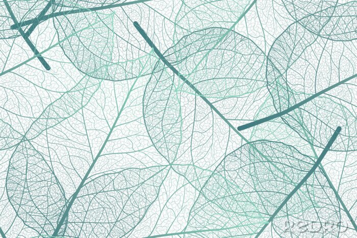 Papier peint à motif  Seamless pattern with leaves veins. Vector illustration.