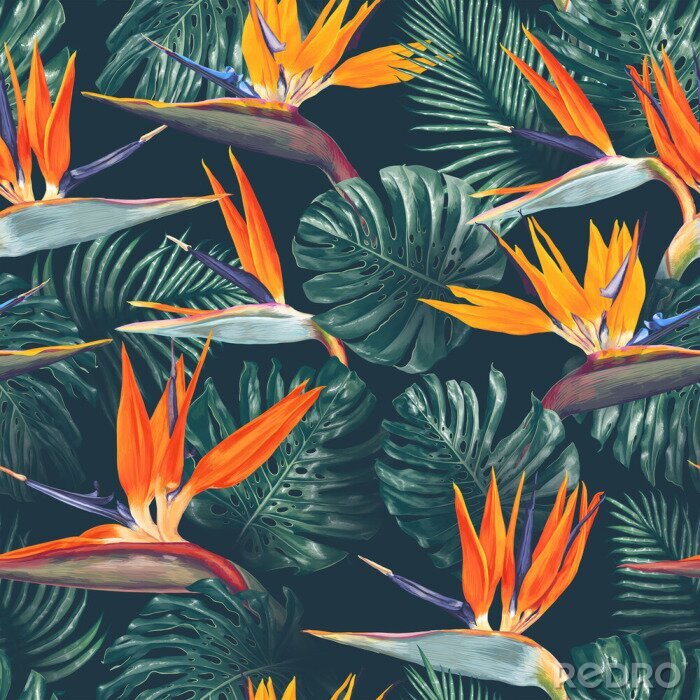 Papier peint à motif  Seamless pattern with tropical flowers and leaves. Strelitzia flowers, Monstera and Palm leaves. Realistic style, hand drawn, vector. Background for prints, fabric, wallpapers, poster, wrapping paper.