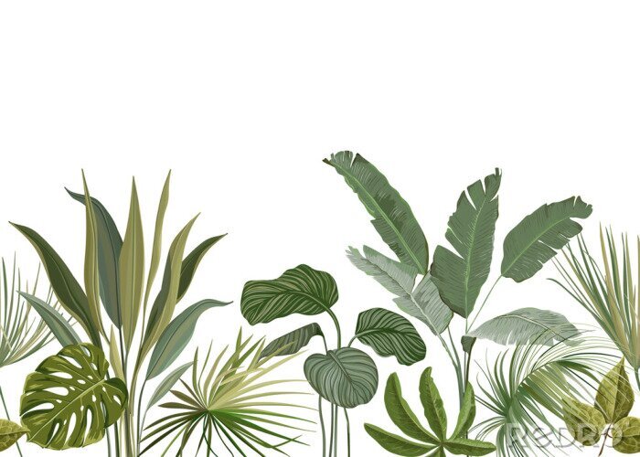 Papier peint à motif  Seamless Tropical Floral Print with Exotic Green Jungle Leaves on White Background. Rainforest Plants Wallpaper Template, Nature Textile Ornament, Philodendron Monstera Flowers Vector Illustration