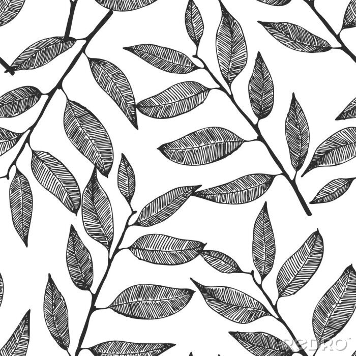 Papier peint à motif  Seamless vector background with hand drawn leaves, eucalyptus pattern
