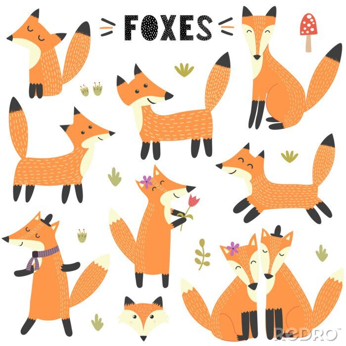 Papier peint à motif  Set of cute foxes. Great for children and kids design. Vector illustration