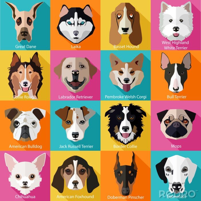 Papier peint à motif  Set of flat popular breeds of dogs icons.
