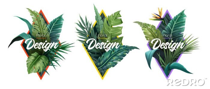 Papier peint à motif  Set of Summer Bright tropical design elements. Print on T-shirts, sweatshirts, cases for mobile phones, souvenirs. Vector illustration
