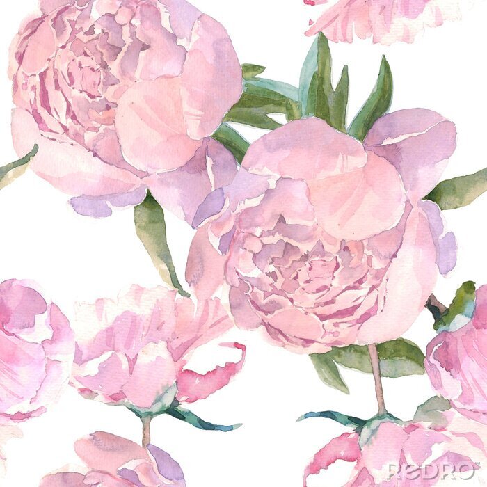 Papier peint à motif  Shabby chic roses roses sur fond blanc