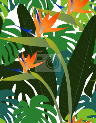 Papier peint à motif  Strelitzia