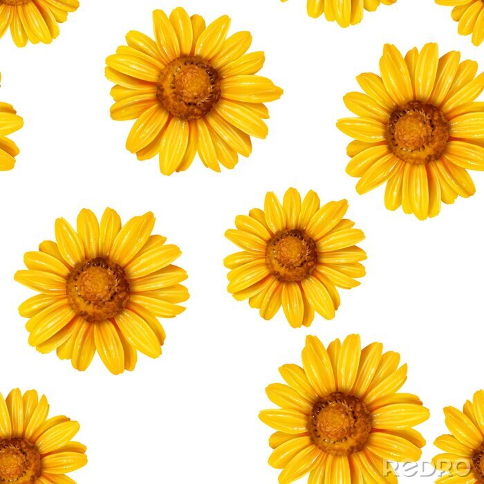 Papier peint à motif  Sunflower seamless pattern. Background with yellow flowers