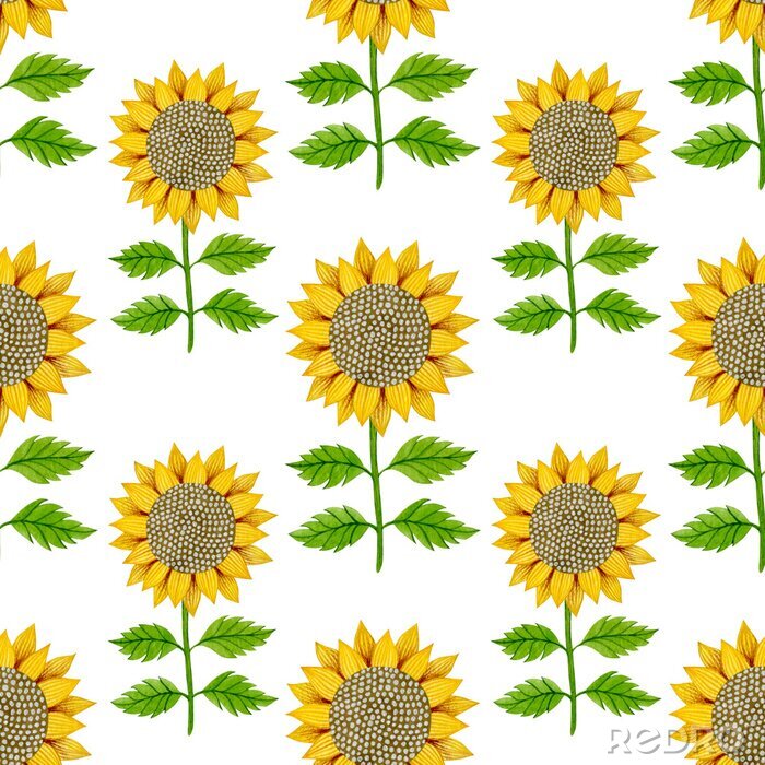 Papier peint à motif  Sunflower watercolor seamless pattern on a white background.