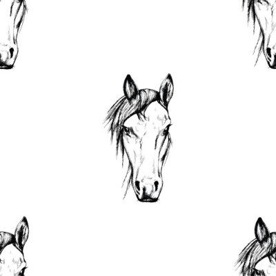Papier peint à motif  Tête de cheval esquissée