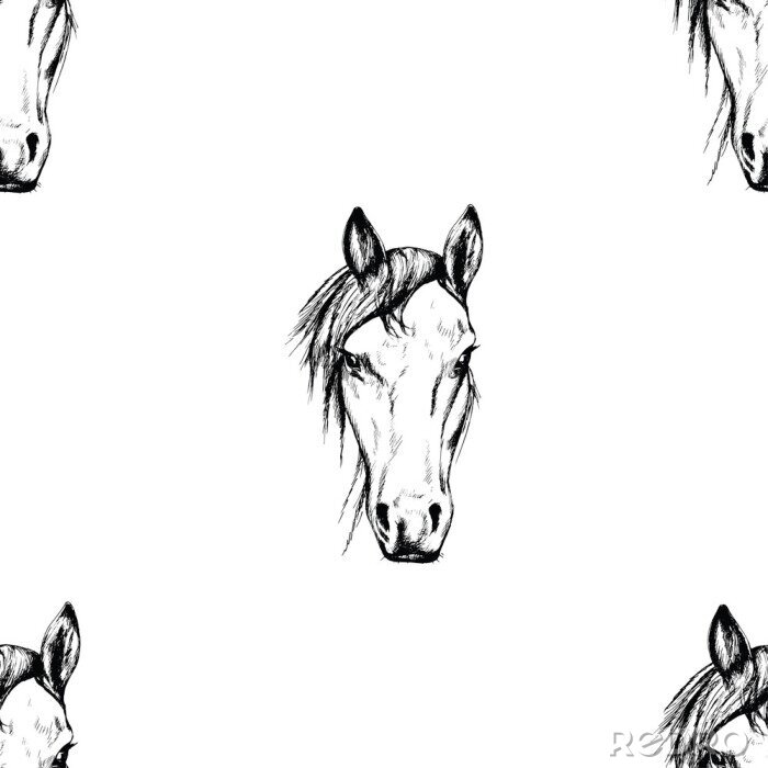 Papier peint à motif  Tête de cheval esquissée