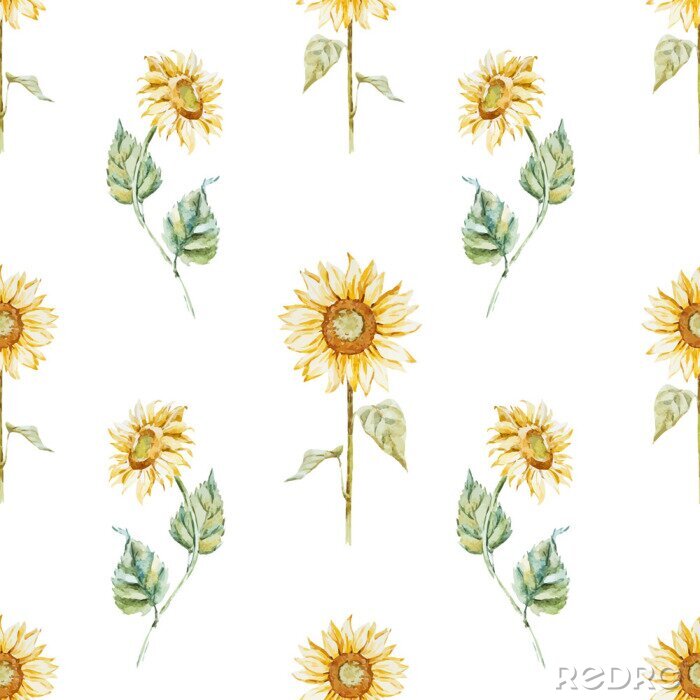 Papier peint à motif  Tournesols rétro sur fond blanc