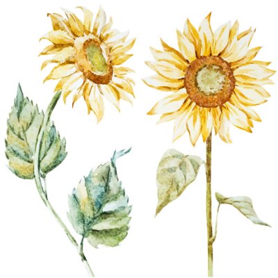 Tournesols style boho