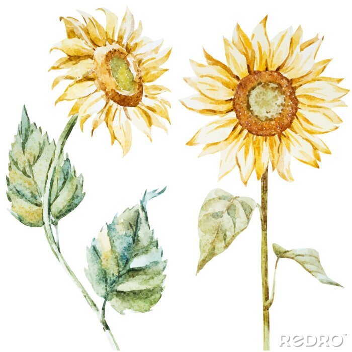 Papier peint à motif  Tournesols style boho