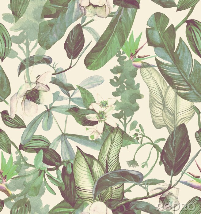 Papier peint à motif  Transparente motif aquarelle avec fleurs tropicales, magnolia, fleur d'oranger, vanille, orchidée vanille, feuilles tropicales, feuilles de bananier
