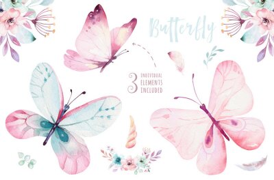Trois papillons pastel et compositions florales