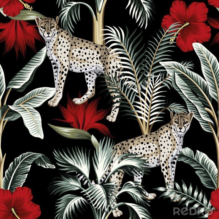 Papier peint à motif  Tropical vintage botanical banana tree, palm tree, red hibiscus flower and leopard floral green palm leaves seamless pattern black background. Exotic jungle wallpaper.