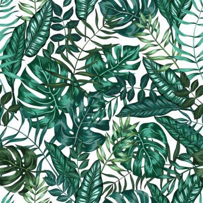 Papier peint à motif  Tropiques élégants avec des feuilles de monstera