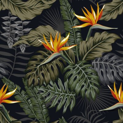 Papier peint à motif  Tropiques sombres avec des feuilles exotiques