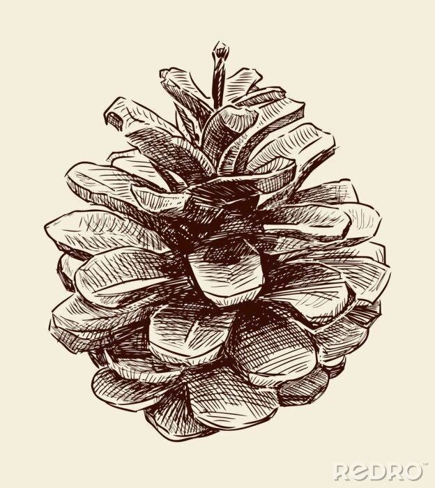 Papier peint à motif  Un cône forestier minimaliste