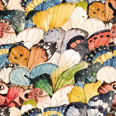 Papier peint à motif  Une volée de papillons colorés