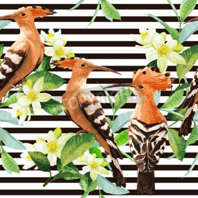 Papier peint à motif  Upupidae sur des rayures noires et blanches