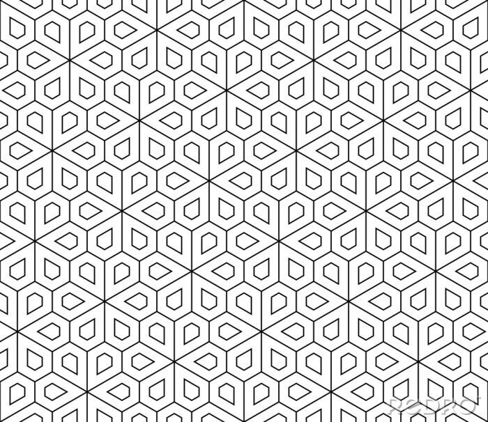 Papier peint à motif  Vecteur modèle de la géométrie transparente moderne fleur, noir et blanc abstrait géométrique, papier peint impression, monochrome rétro texture, design de mode hipster