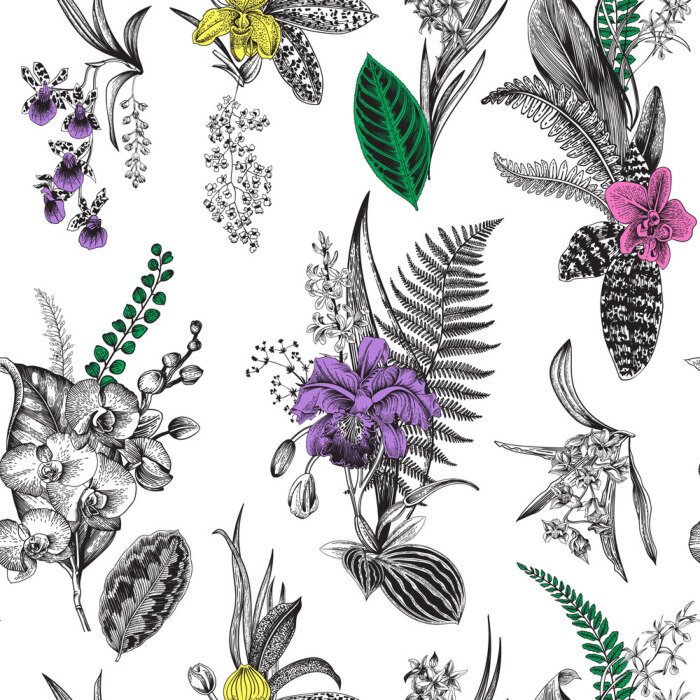 Papier peint à motif  Vecteur, seamless, vendange, floral, modèle. Orchidée et feuille exotiques. Illustration classique botanique. coloré