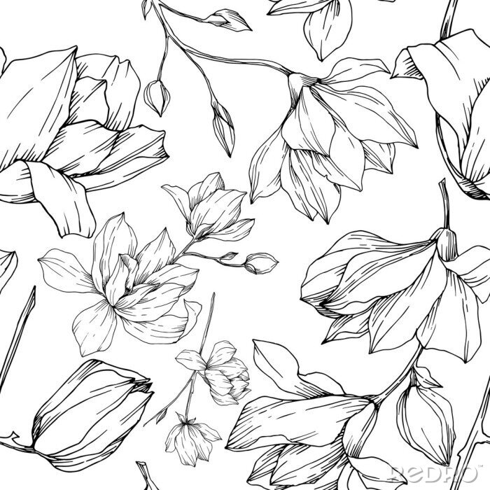 Papier peint à motif  Vector Magnolia floral botanical flowers. Black and white engraved ink art. Seamless background pattern.