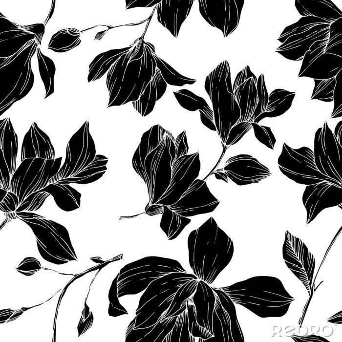 Papier peint à motif  Vector Magnolia floral botanical flowers. Black and white engraved ink art. Seamless background pattern.